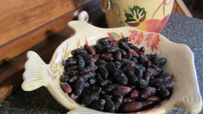 fresh fruit in Napanee or Kingston